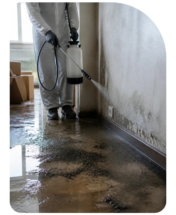 Дезинфекция после затопления в Хабаровске по цене от 5658 р. | Сенат-Хбр